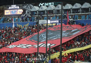 [Photo] An off-field showdown between lions and tigers