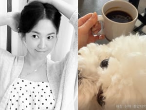 송혜교, 루비 앞에선 한없이 무장해제 "산책 좋았지?"
