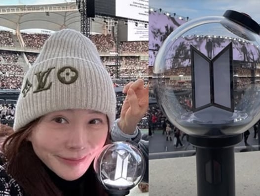 "나 아미였네"..방탄소년단 콘서트 찾은 ★들