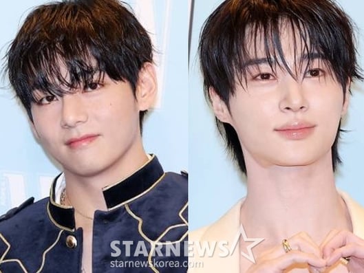 팬덤 놀이터,스타폴