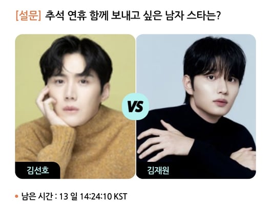 팬덤 놀이터,스타폴