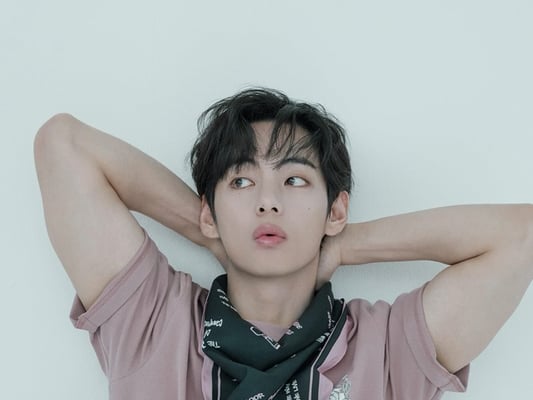 '뷔 이펙트' 방탄소년단 뷔 앰버서더 글로벌 패션→소비재 브랜드 '매출 쑥쑥'