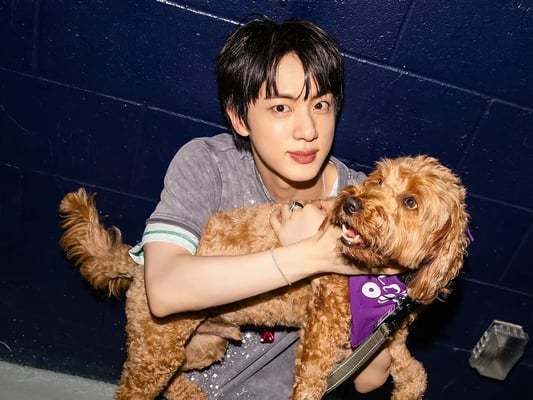미국 홀린 아이코닉 보컬 BTS 진, 팬들에 전한 깊은 사랑..'폭스버러의 진 축제'