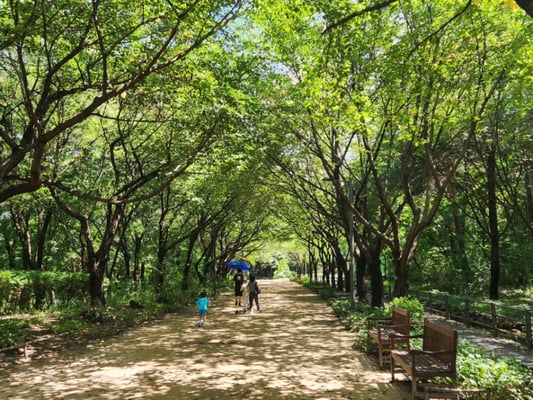[K-TRAVEL 10]서울숲…울창한 숲과 테마가 있는 대규모 녹지공원
