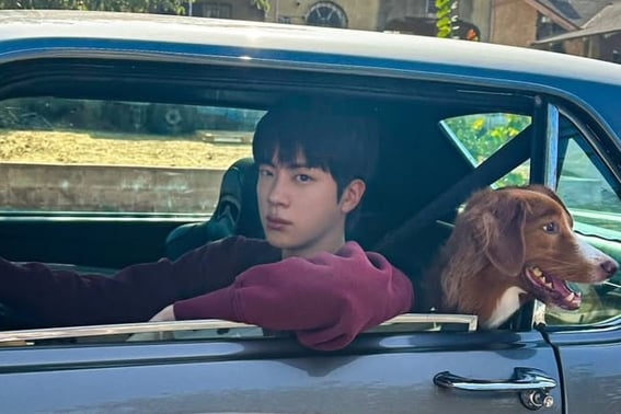 "Running Wild" at Tokyo Dome..BTS JIN Proves Most Popular On WBC This Time