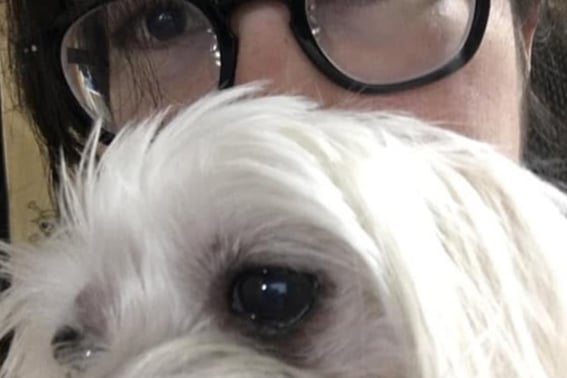 '性暴力無罪' 120万人のユーチューバー、顔を公開し衝撃を乗り越えて復帰予告..「またお会いします」" [スター・イシュー]