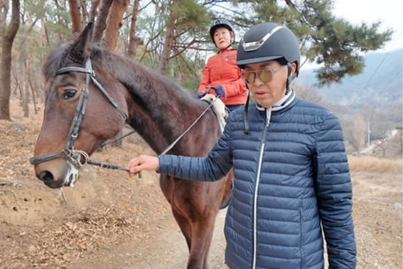 Three pancreatic tumors of the 'gaggy godmother' were found → What are you up to after the resection..Bae Yeon-jeong, "Rehabilitation with horseback riding." [Perfect Life]