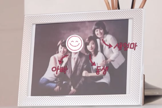 "I should have been a celebrity instead of you." Seo In-young, "Sleeping Handsome" Younger sister Seo Hae-young's beauty is hot topic