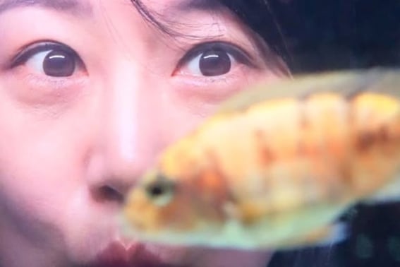 'Do Kyung Wan ♥' Чан Юн Чжон, предупреждение о подделке .."На стороне DM, осторожно"