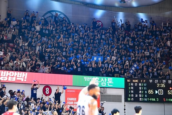 '1,000 fans at an away game' — a packed stands of support moved Choi Jun-yong... KCC fans roar with enthusiasm [Anyang on-site]