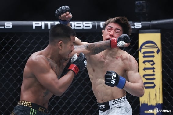 'Face covered in blood → tragic reversal defeat' Japan's historic dream, 8th attempt also fails "He was truly a tenacious fighter..."
