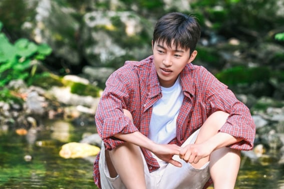 这次是'山村小伙子'...林英雄,SBS《山村小伙子英雄》传达治愈