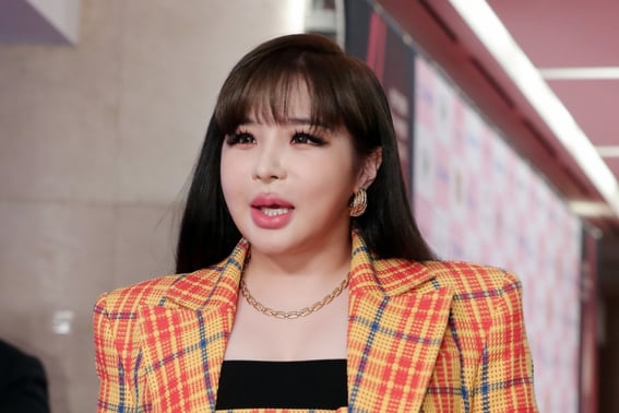 Пак Бом, 2NE1 снайпер → После расставания с агентством...Раскрыта последняя информация "Слуги народа" [человек.]