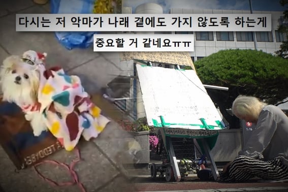 Suspicions of Park Na-rae being exploited as a street performer... Father speaks out amid abuse controversy: "She must come back" ('Curious Story Y')