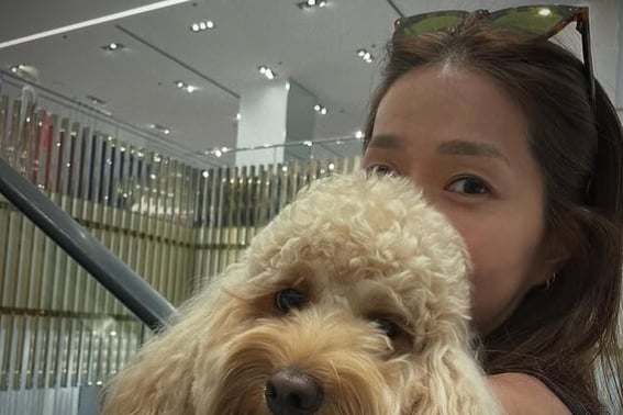 'New York Wife' Lee Jin Returns with Her Pet Dog.. Settled in Korea, 'Happy' with Finkle and Song Hye-kyo [Star Issue]