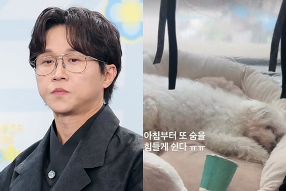 Park Sung-kwang, quien está casado con Lee Sol, es reingresado en el hospital mientras lucha contra una enfermedad cardíaca; preocupa a su hijo Kwang-bok... "Respira con dificultad" [Star Issue]