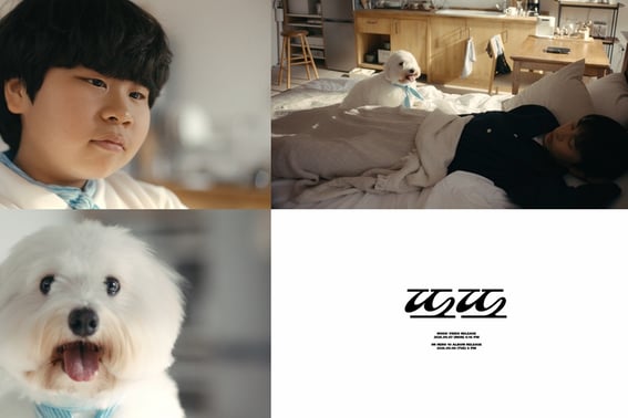 Lim Young-woong's new album title track is "Tto Tto" .. Even his pet dog Siwol participated in writing and composing the lyrics