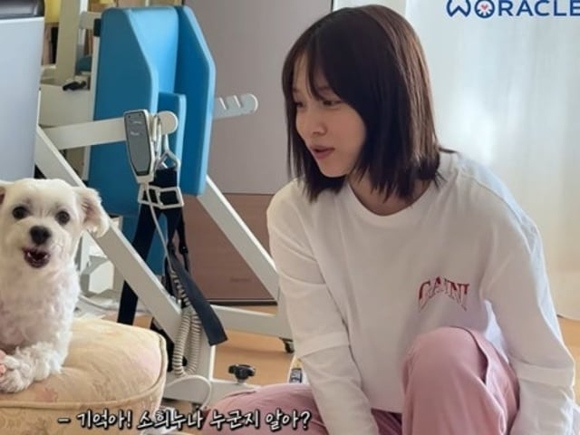 기사 이미지