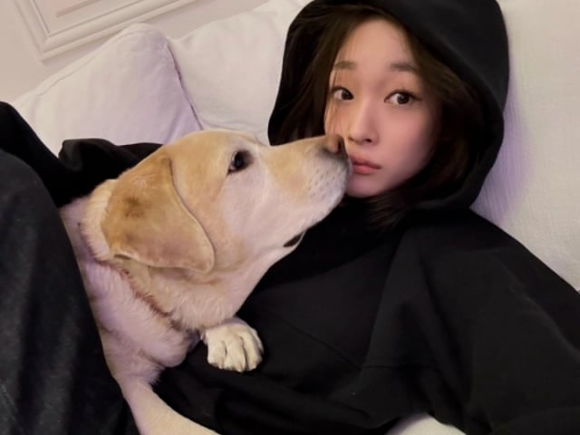 기사 이미지