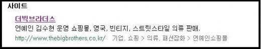 ↑ 포털 사이트 네이버에 '더빅브라더스'를 검색한 결과.