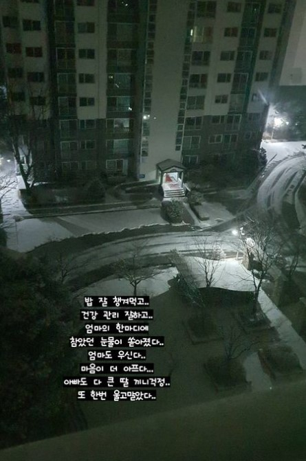 /사진=조예영