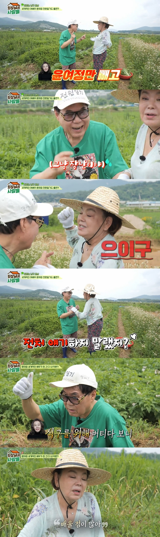 tvN STORY '회장님네 사람들'./사진= tvN STORY '회장님네 사람들' 방송 화면 캡처