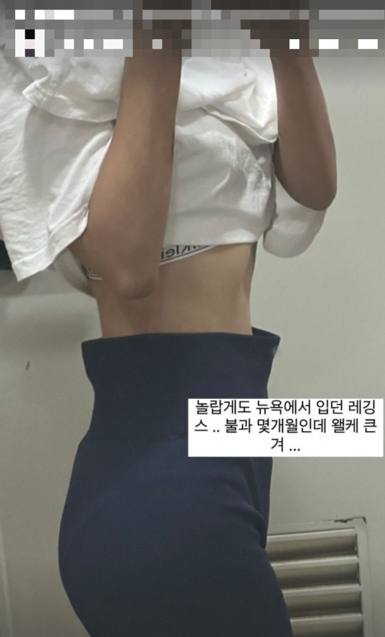 /사진=최준희