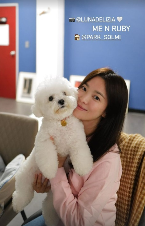 /사진=송혜교