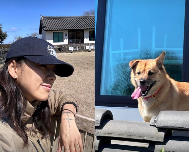 이효리 / 사진=이효리 인스타그램