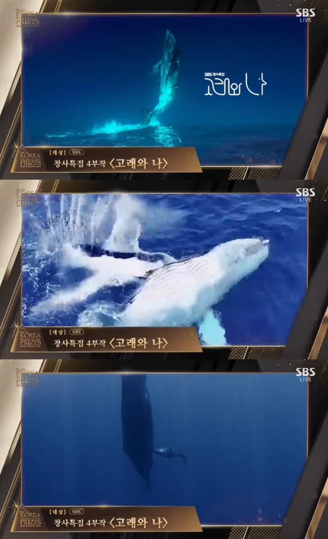 /사진=SBS '제51회 한국방송대상' 중계화면 캡처