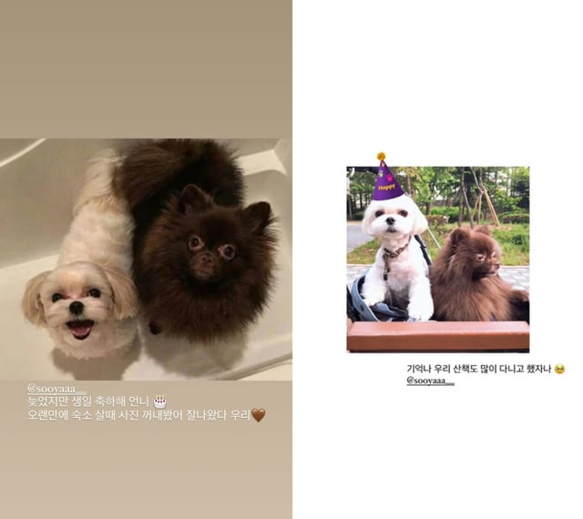 /사진=블랙핑크 제니 SNS