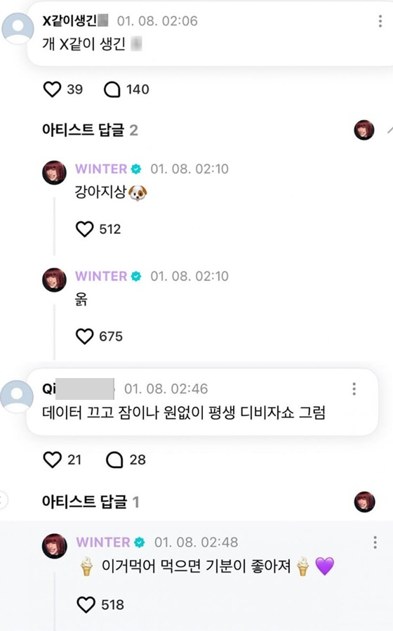악플에 대한 윈터의 답글