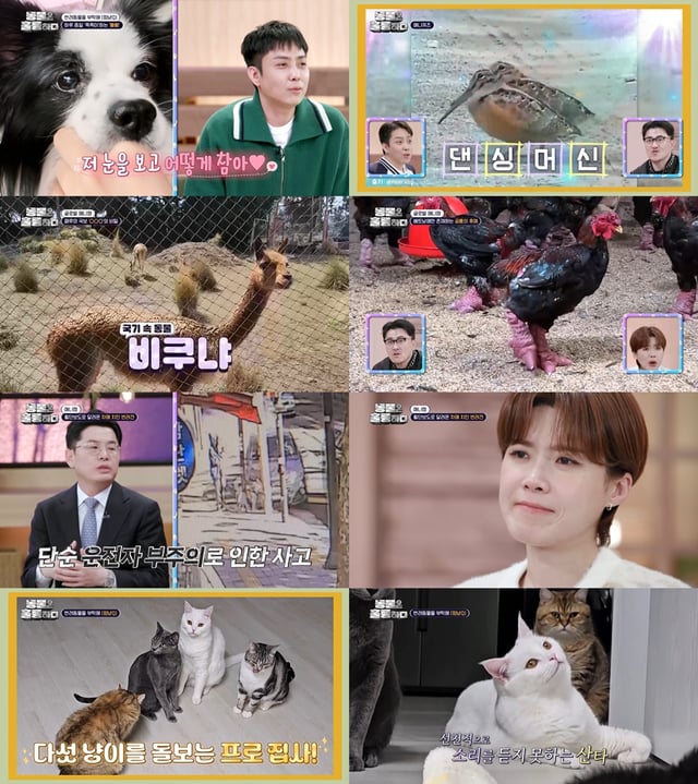 /사진=KBS