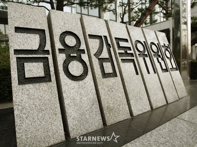 금융감독원 /사진=머니투데이DB