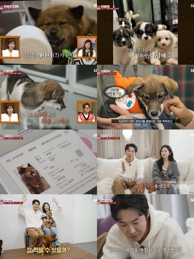 /사진=SBS