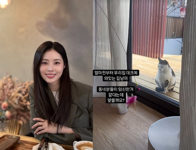 /사진=서동주 SNS