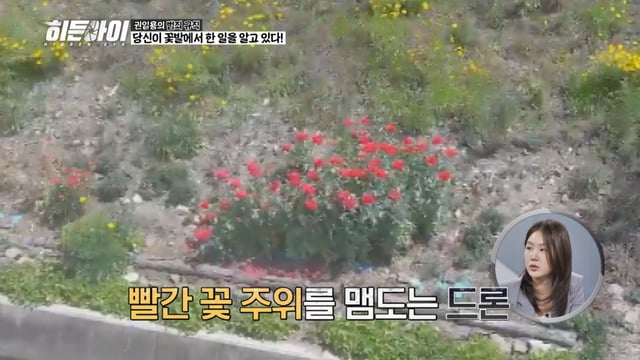 /사진제공=MBC플러스