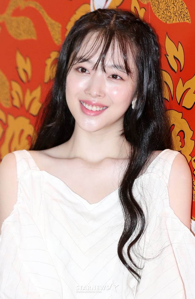 고 설리 /사진=스타뉴스