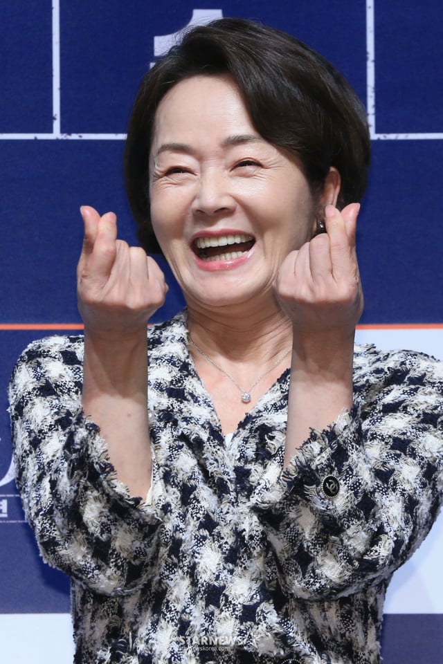 고 김영애/사진=스타뉴스