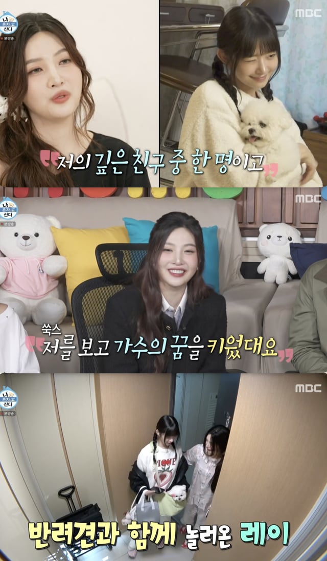 /사진='나혼자산다' 방송화면 캡쳐