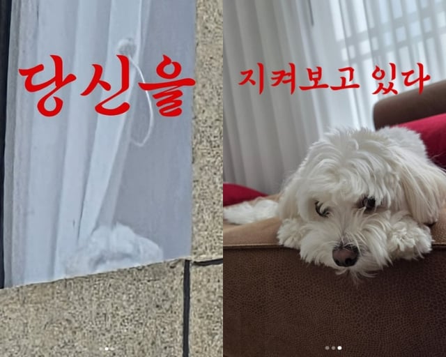 /사진=최동석 SNS