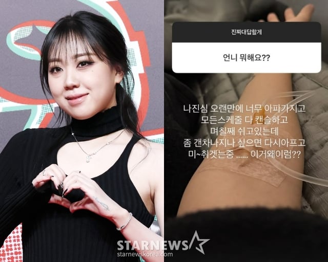 /사진=스타뉴스, 이영지 SNS 