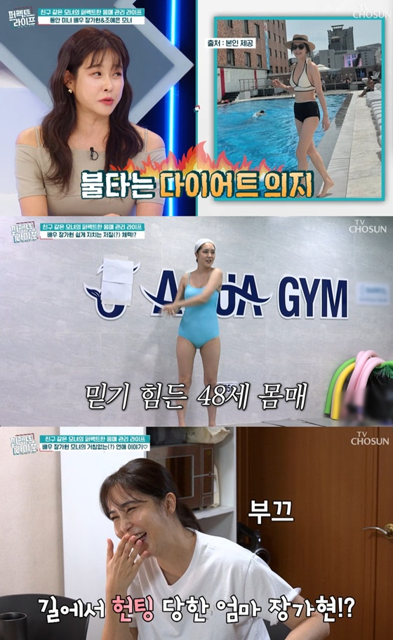 /사진=TV조선 '퍼펙트 라이프' 캡처