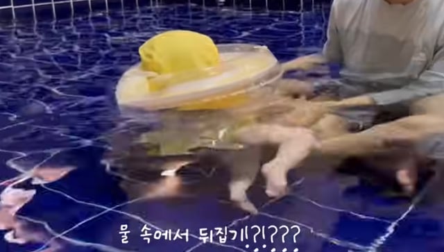 /사진=유튜브 채널 '박수홍 행복해다홍'
