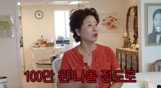 /사진=유튜브 채널 '순풍 손우용여' 캡처