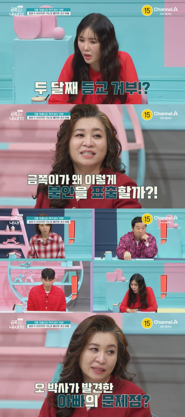 /사진=채널A