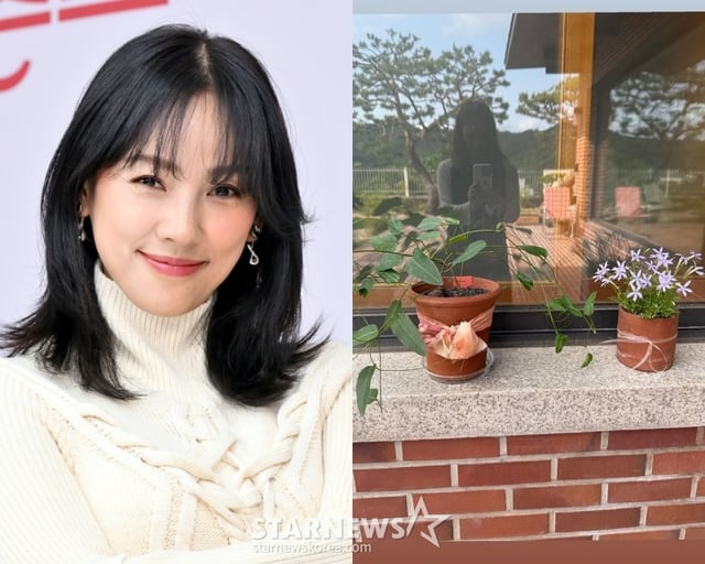 /사진=스타뉴스, 이효리 SNS
