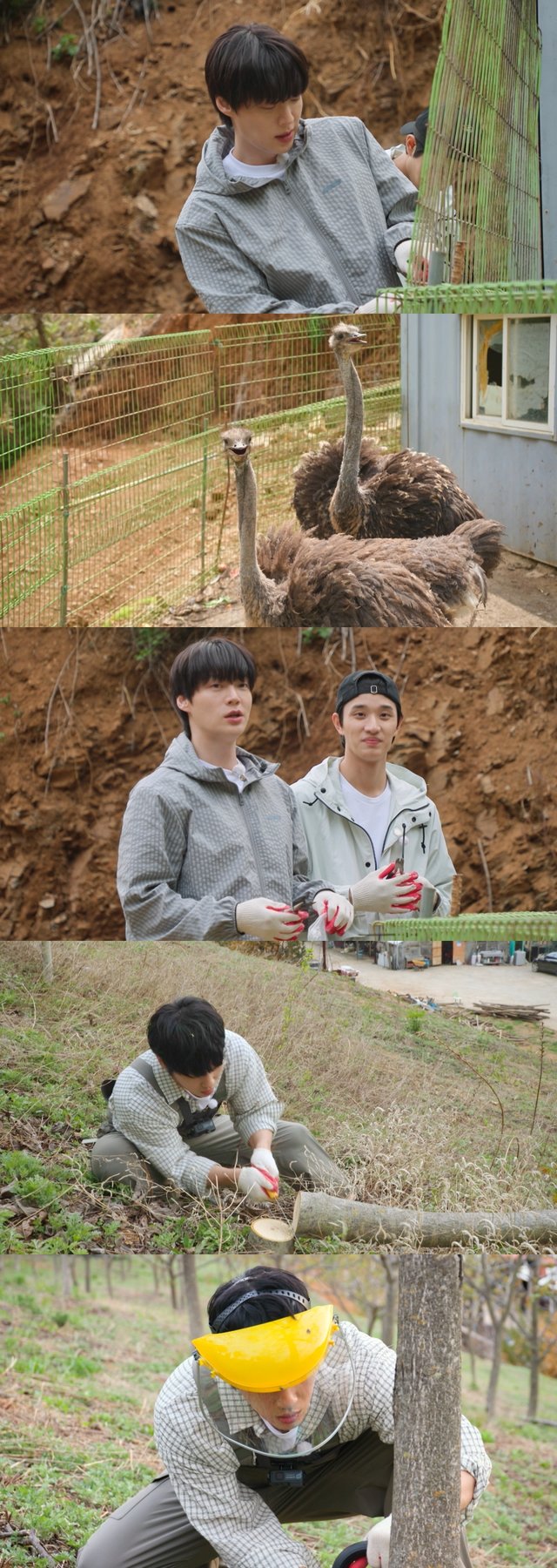 /사진=KBS 2TV '가는정 오는정 이민정'