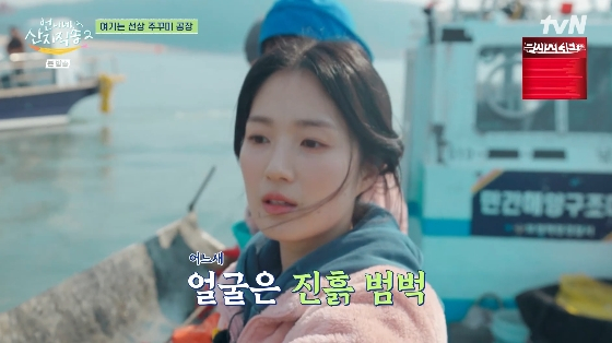 /사진= tvN '언니네 산지직송2' 방송화면