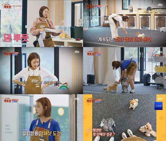 /사진=JTBC '집 나가면 개호강'